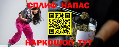 дмт Будённовск