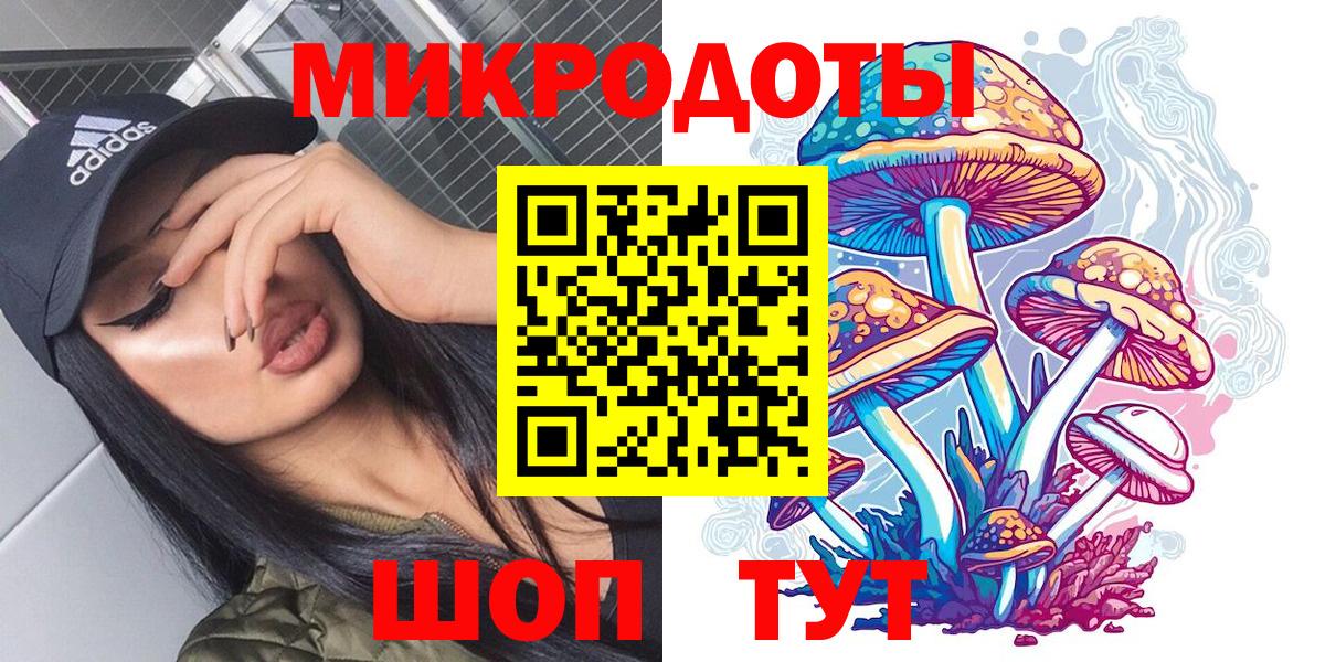 Псилоцибиновые грибы Psilocybine cubensis Усинск